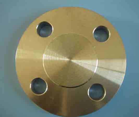 Phosphorus Bronze Blind Flanges