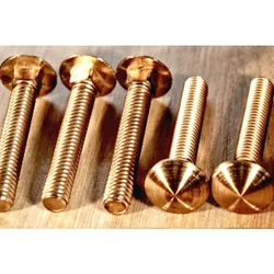 Beryllium Copper Screws