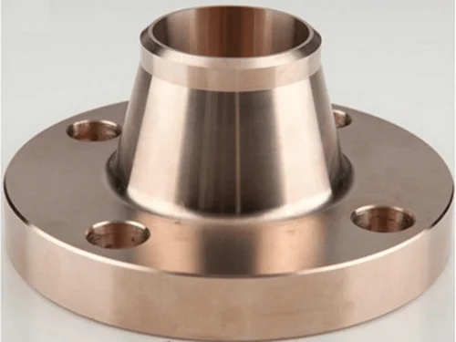 Phosphorus Bronze Weld Neck Flanges