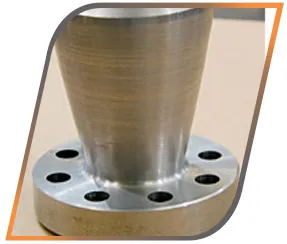 Duplex 2205 Expander Flange Manufacturer Exporter in India
