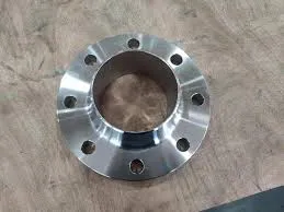NACE MR0175 Duplex Flange Exporter Manufacturer Exporter in India