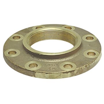 Hastelloy Companion Flanges